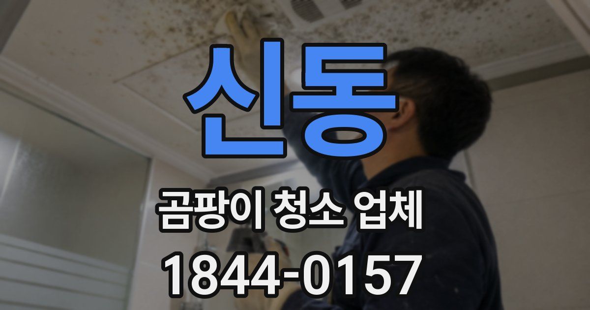 신동 곰팡이 청소 업체