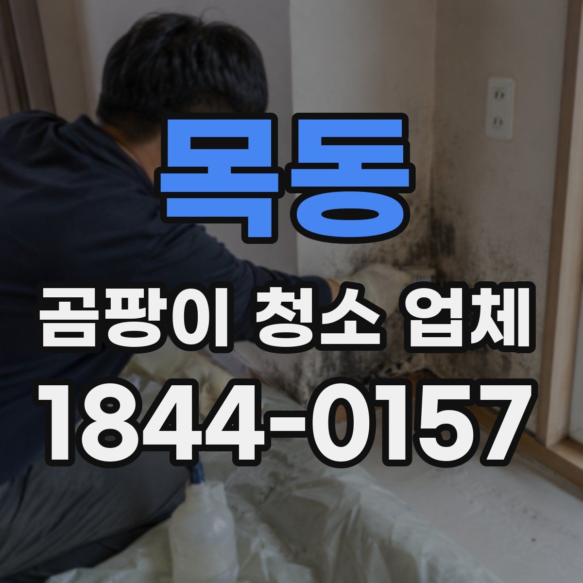 목동 곰팡이 청소 업체