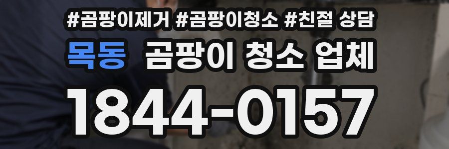 목동 곰팡이 청소 업체