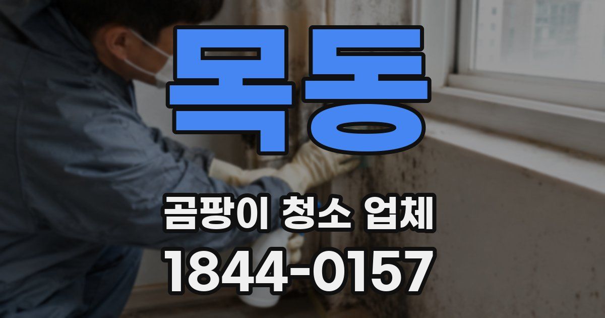 목동 곰팡이 청소 업체
