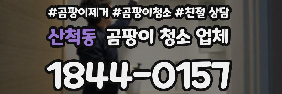 산척동 곰팡이 청소 업체