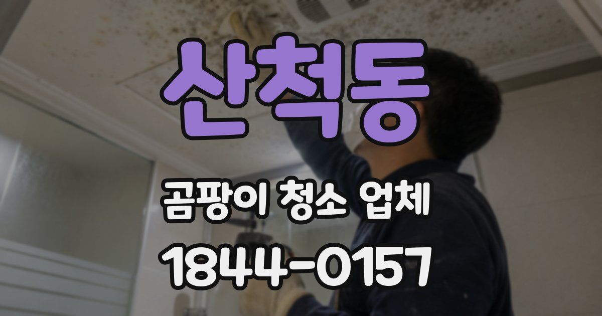 산척동 곰팡이 청소 업체