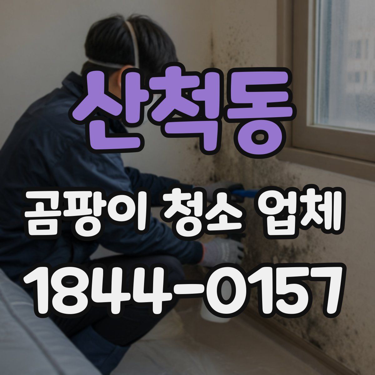 산척동 곰팡이 청소 업체