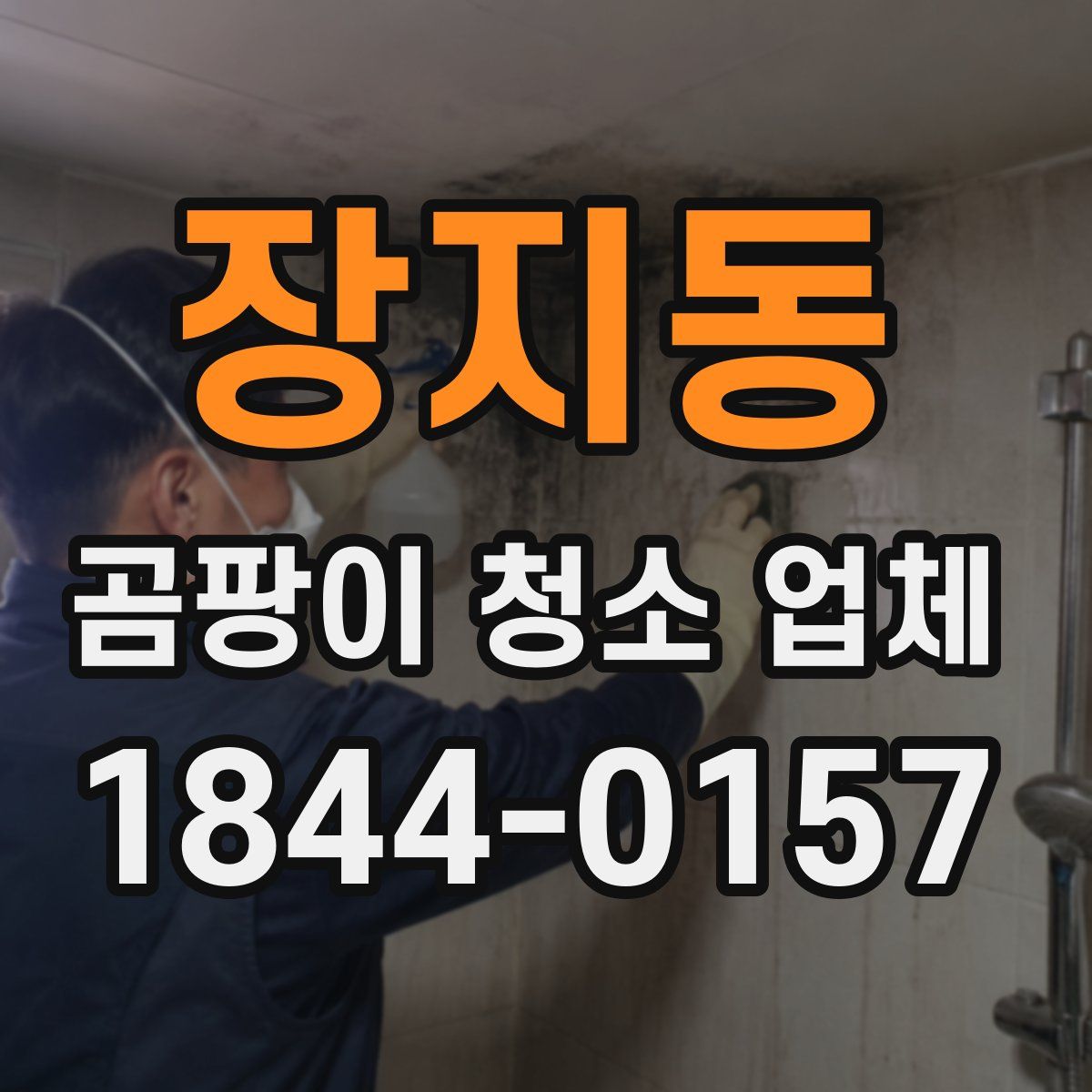 장지동 곰팡이 청소 업체