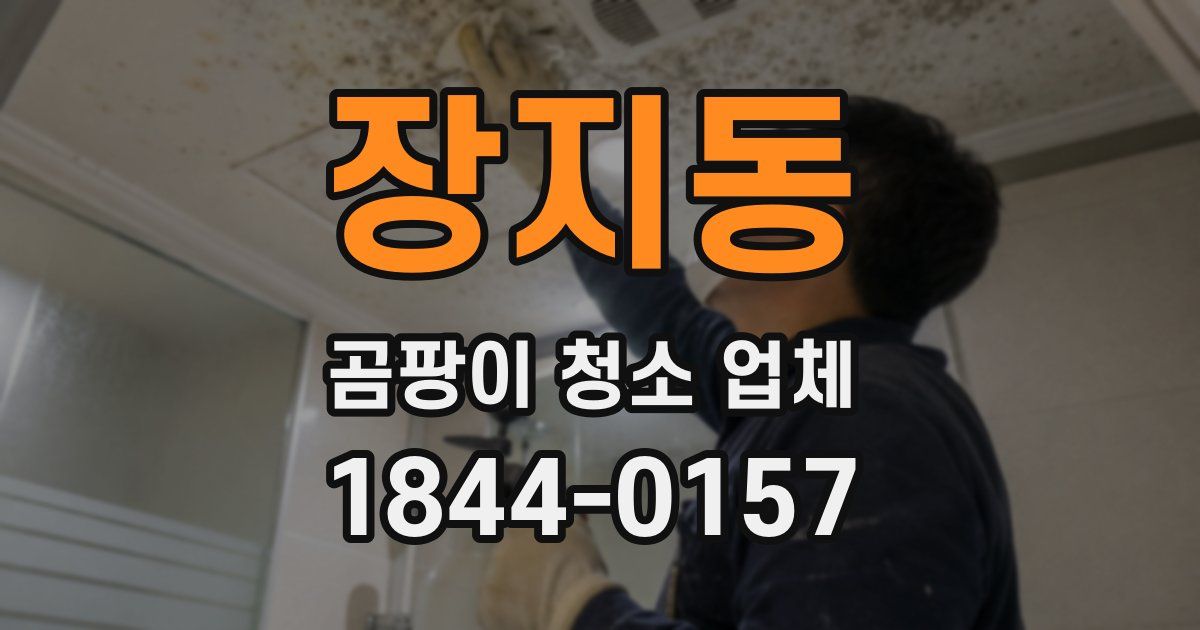 장지동 곰팡이 청소 업체