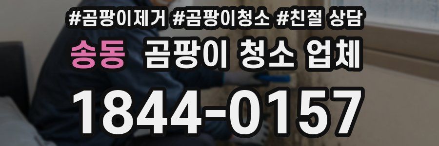 송동 곰팡이 청소 업체
