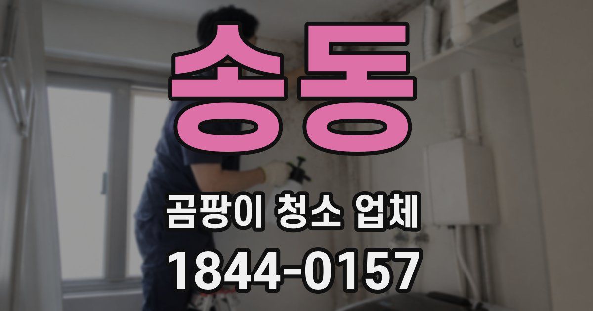 송동 곰팡이 청소 업체