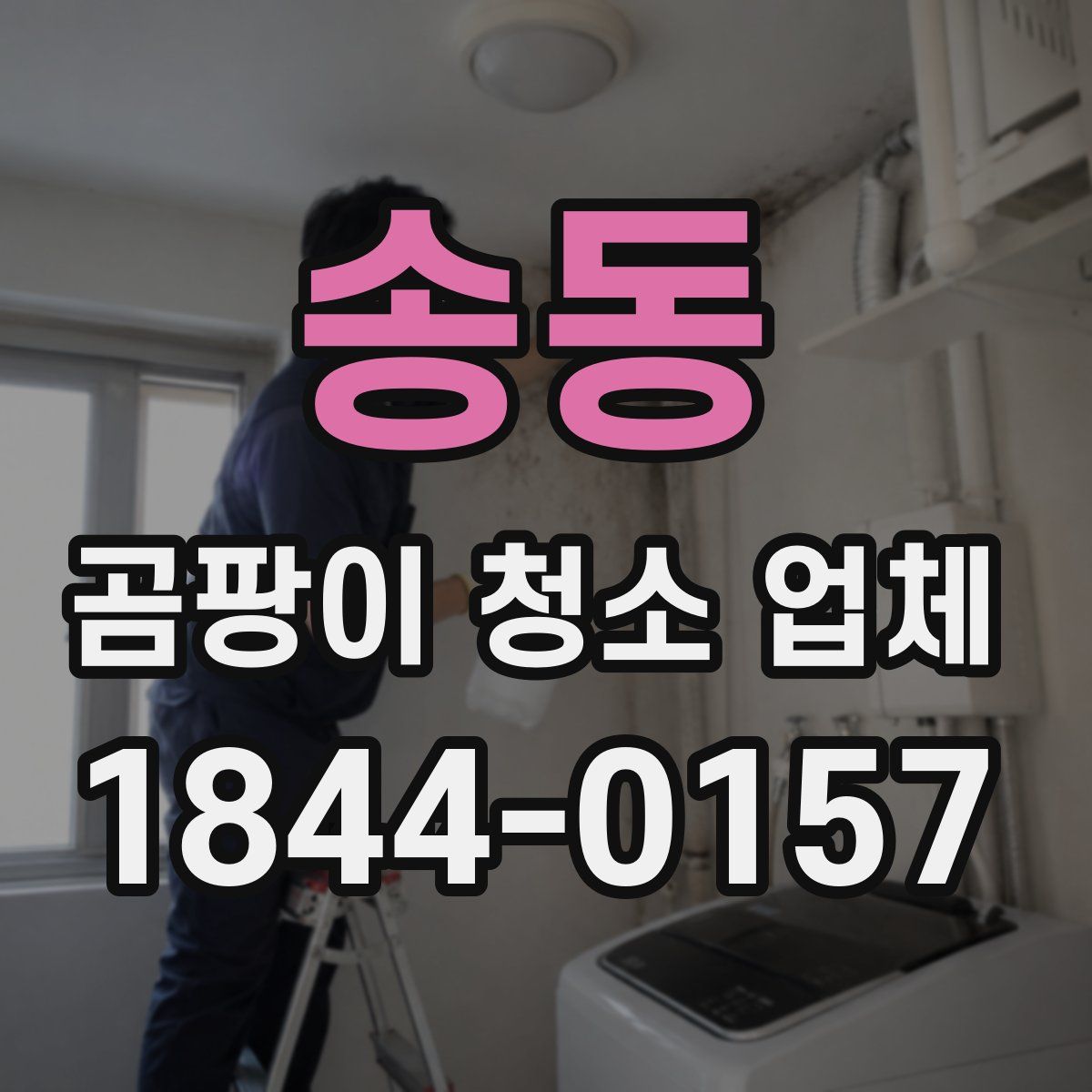 송동 곰팡이 청소 업체