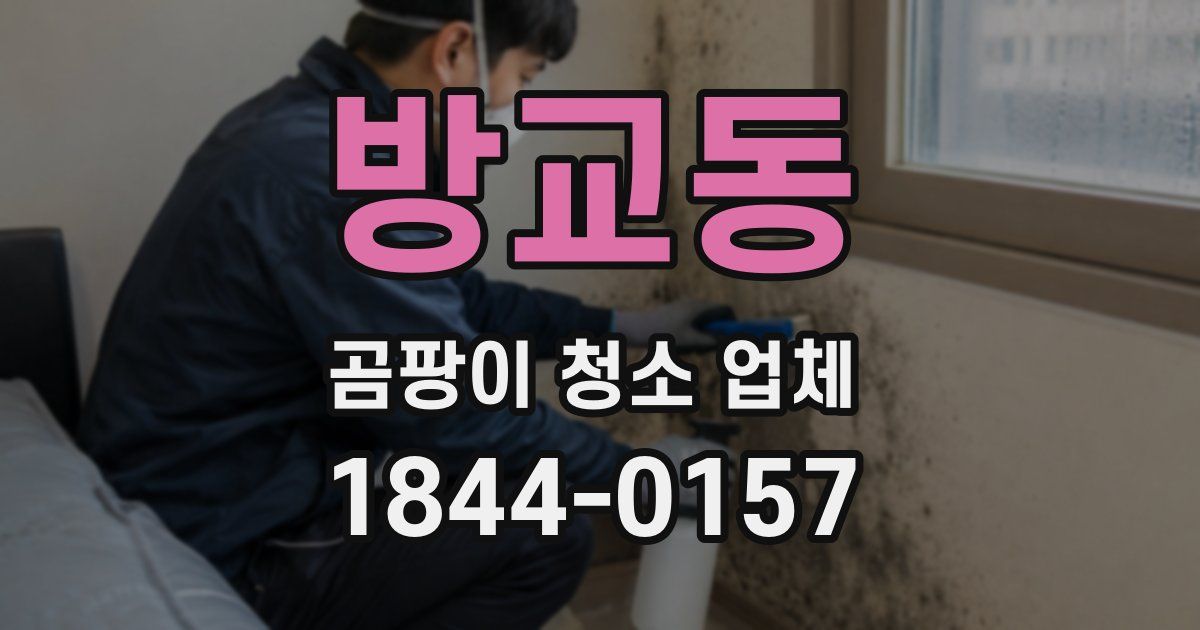 방교동 곰팡이 청소 업체