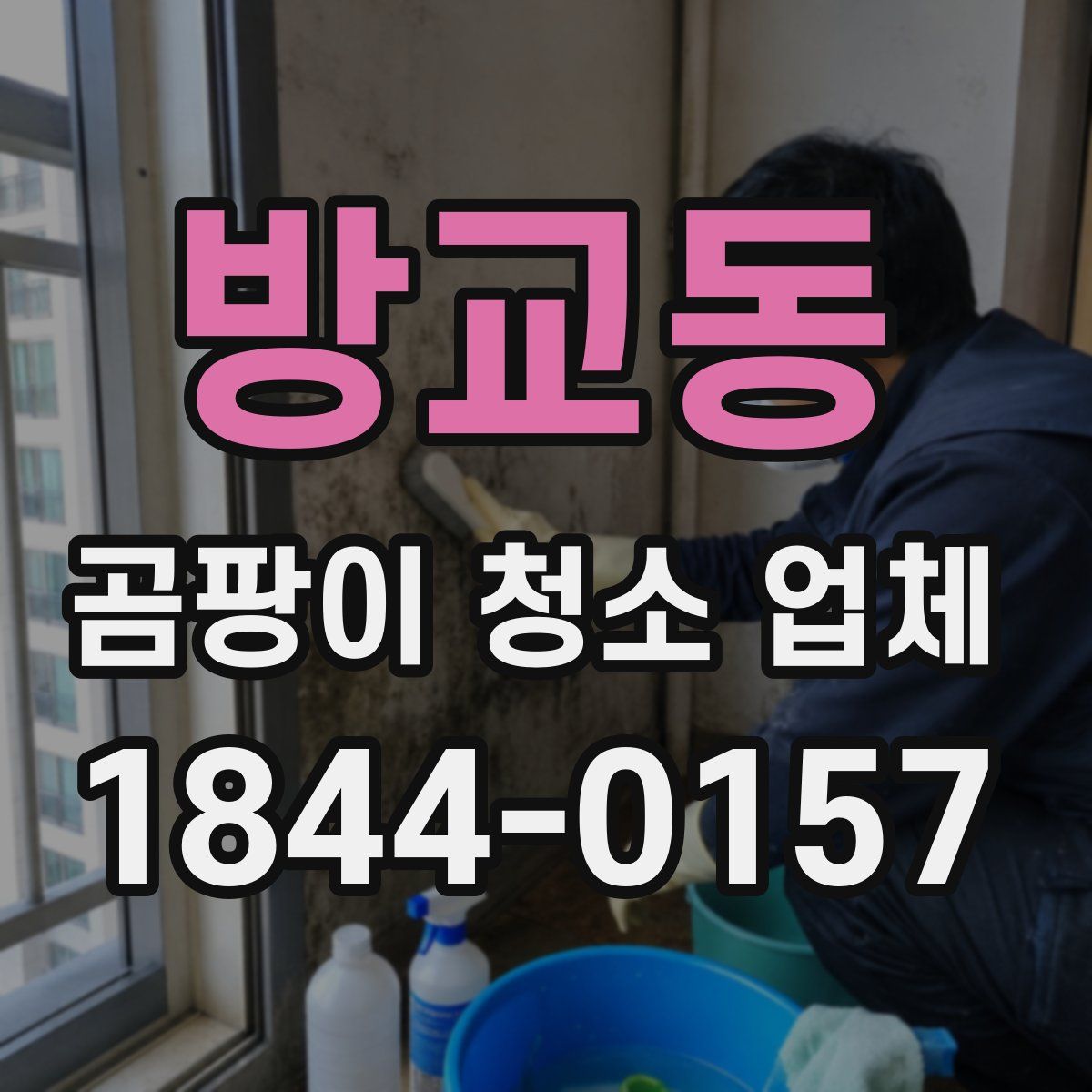 방교동 곰팡이 청소 업체
