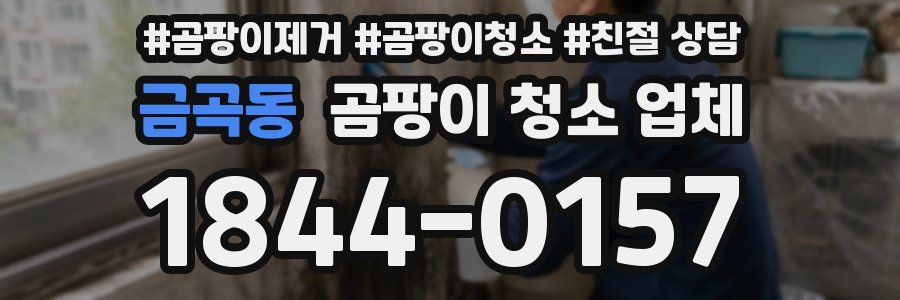 금곡동 곰팡이 청소 업체