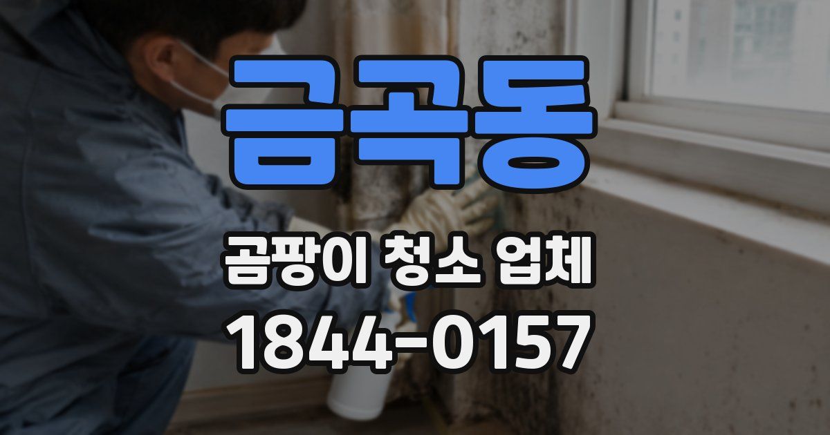 금곡동 곰팡이 청소 업체