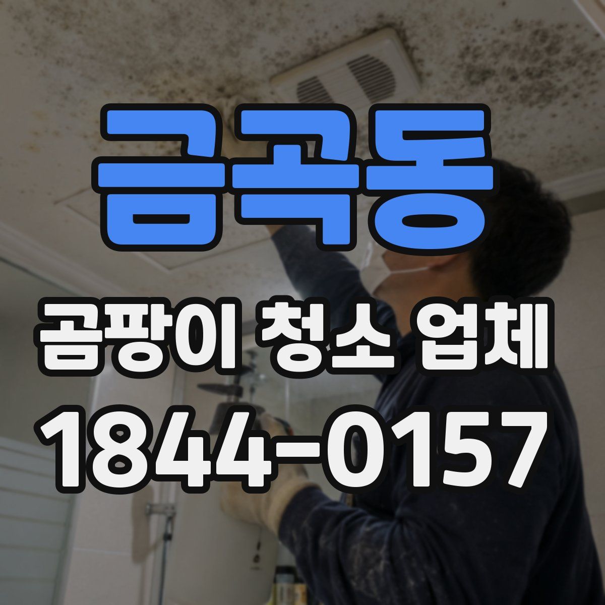 금곡동 곰팡이 청소 업체