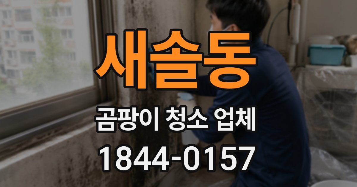 새솔동 곰팡이 청소 업체