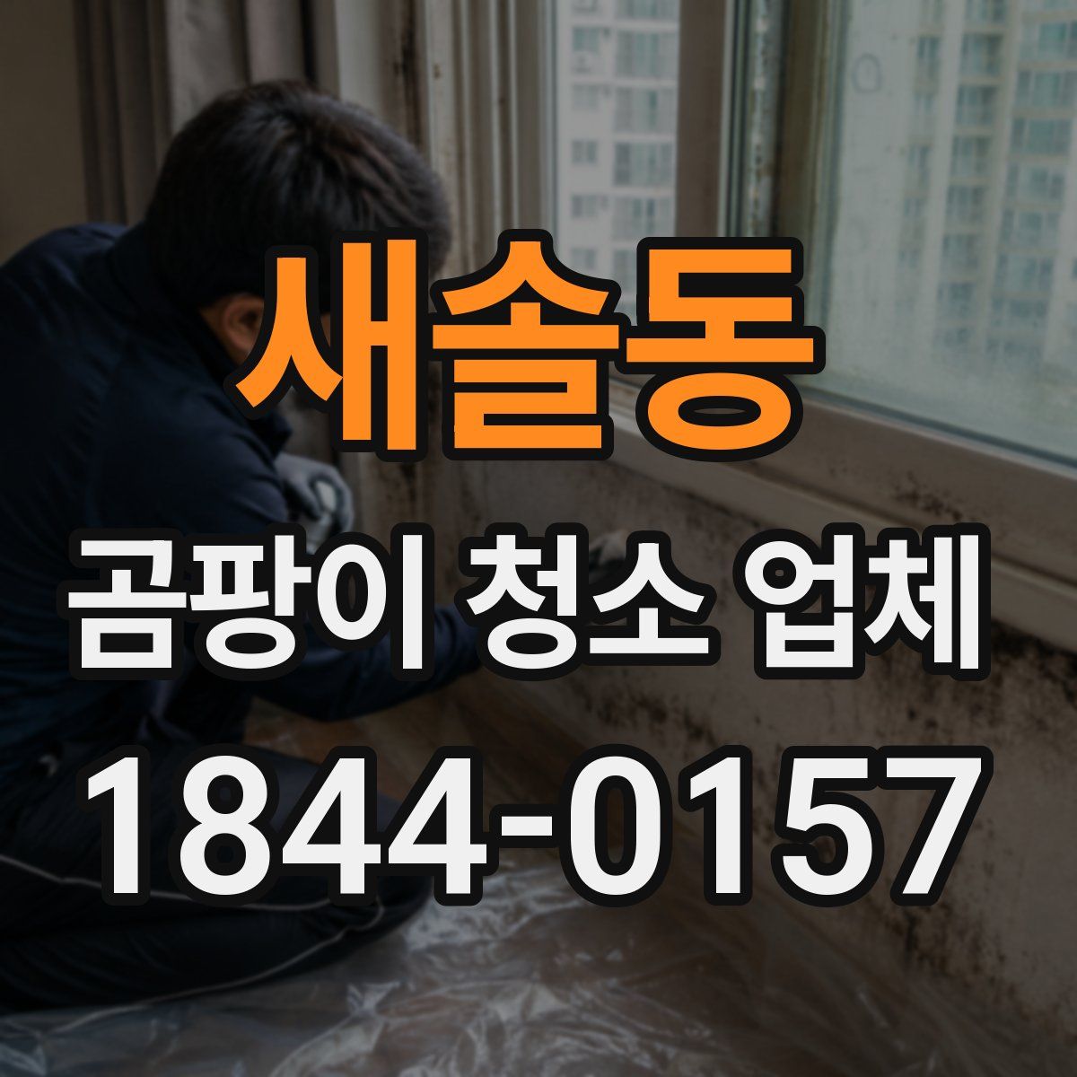 새솔동 곰팡이 청소 업체
