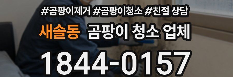새솔동 곰팡이 청소 업체