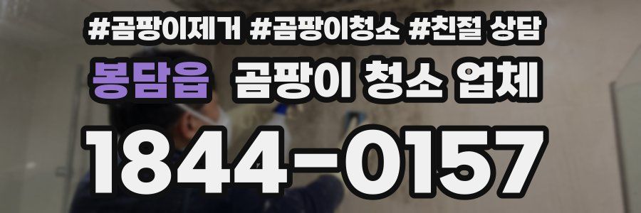 봉담읍 곰팡이 청소 업체