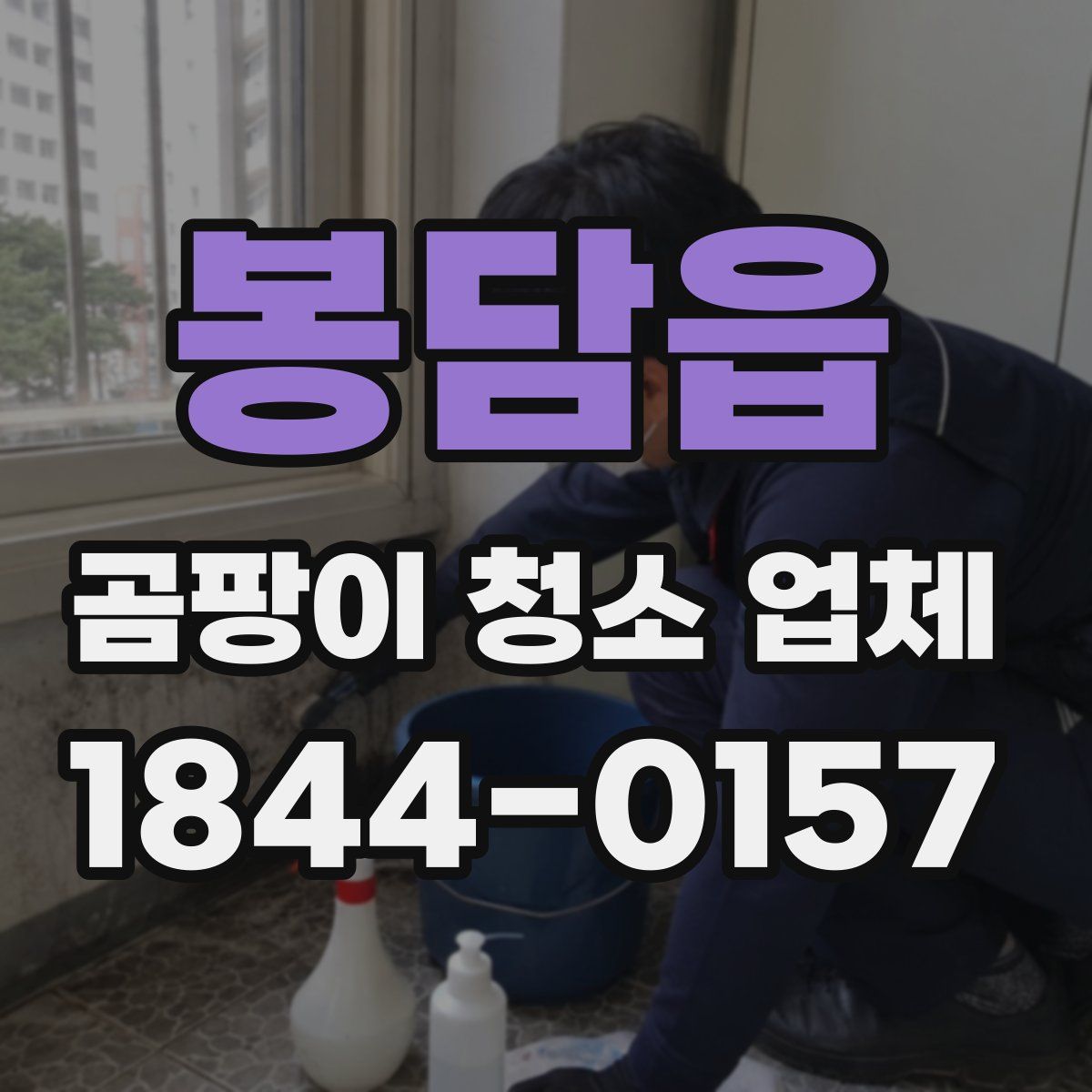 봉담읍 곰팡이 청소 업체