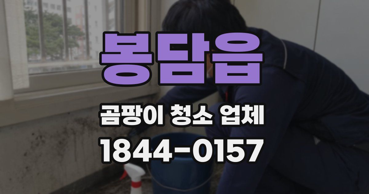 봉담읍 곰팡이 청소 업체
