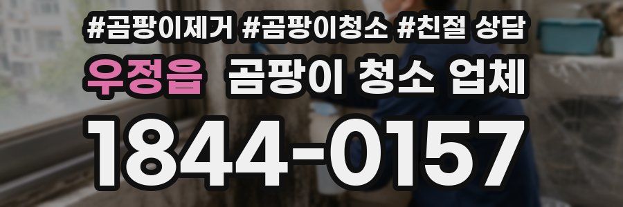 우정읍 곰팡이 청소 업체