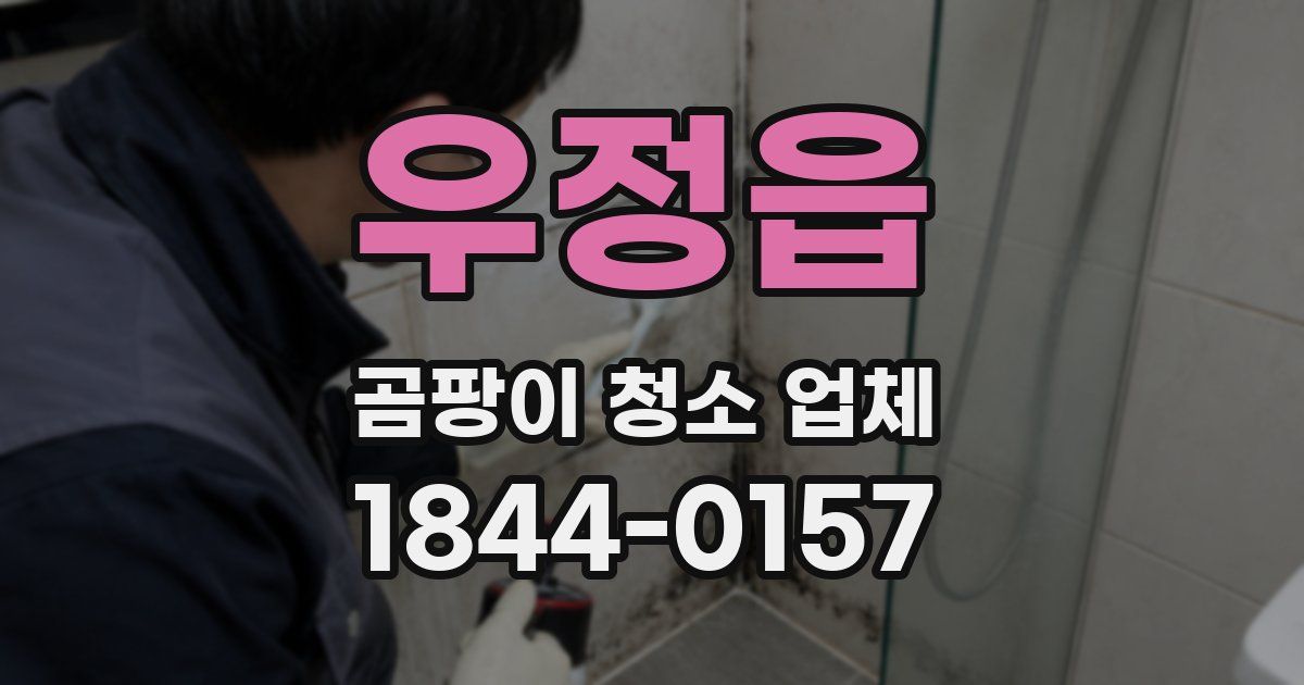 우정읍 곰팡이 청소 업체