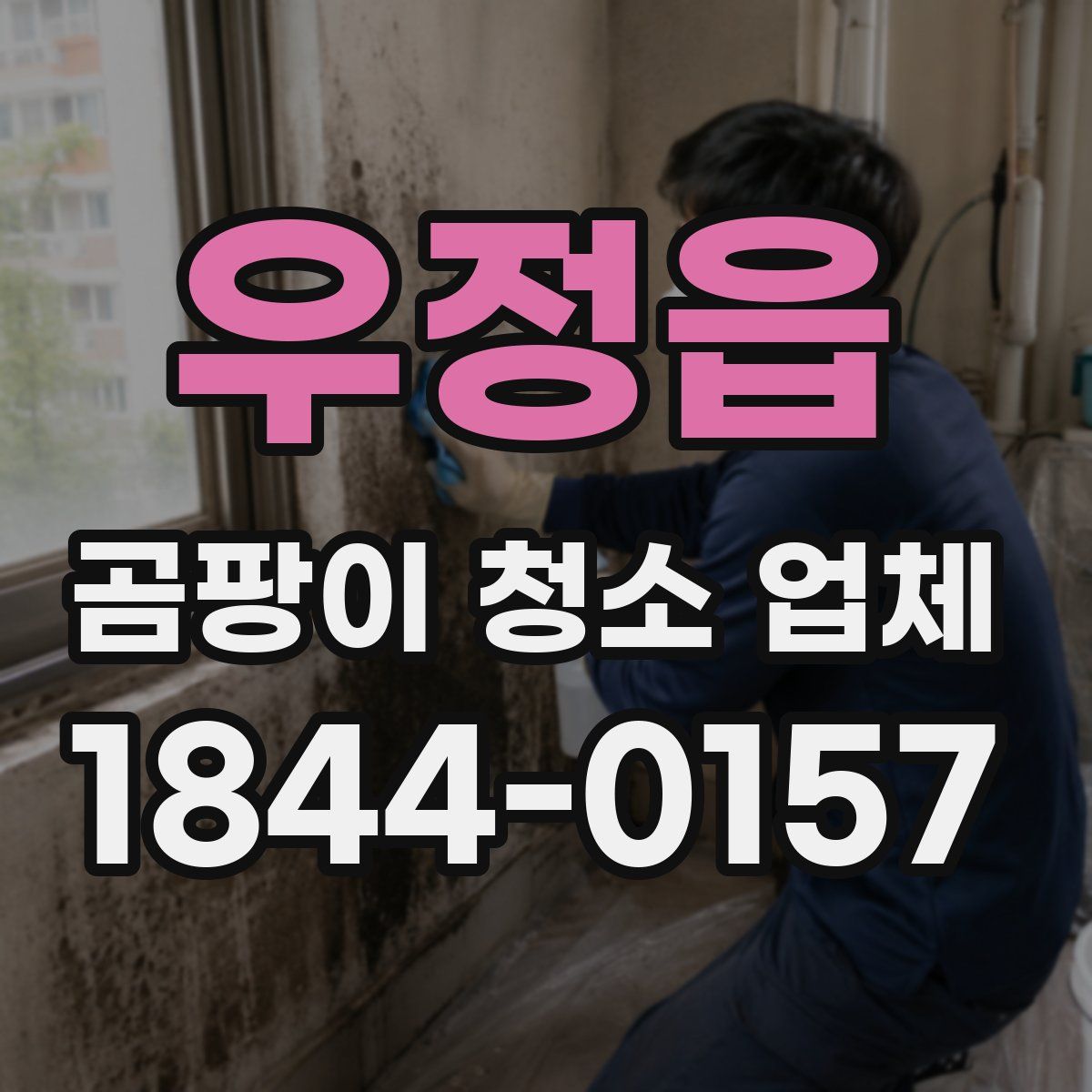 우정읍 곰팡이 청소 업체