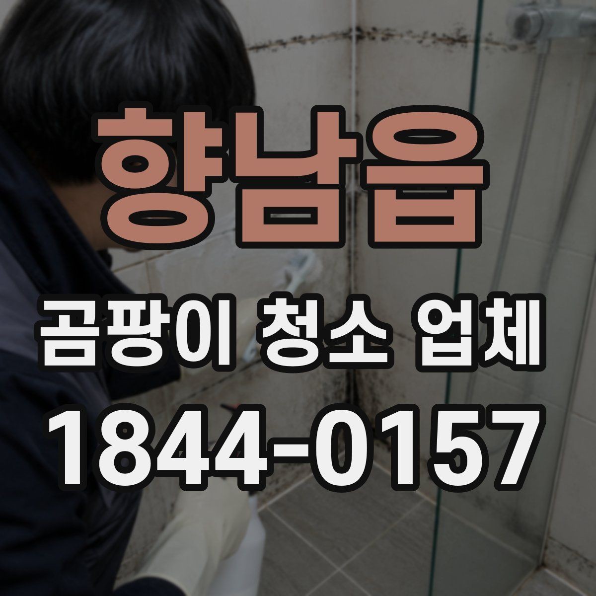 향남읍 곰팡이 청소 업체 선택 시 현장 대응력을 보는 법