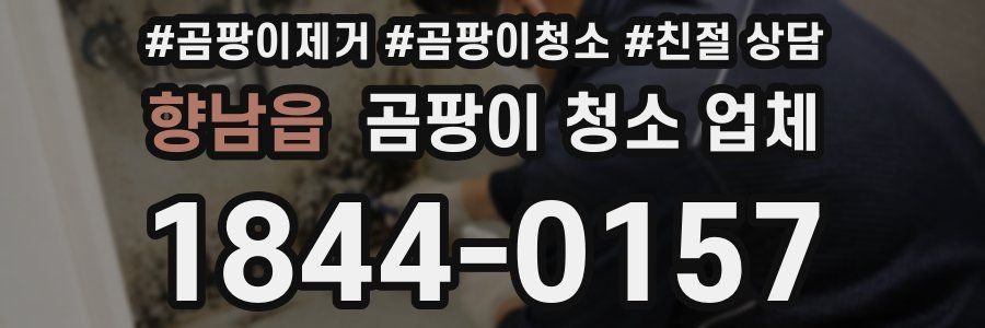 향남읍 곰팡이 청소 업체