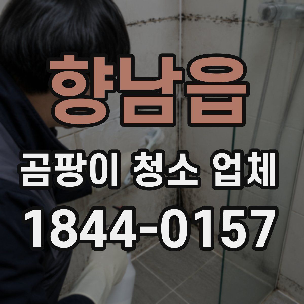 향남읍 곰팡이 청소 업체