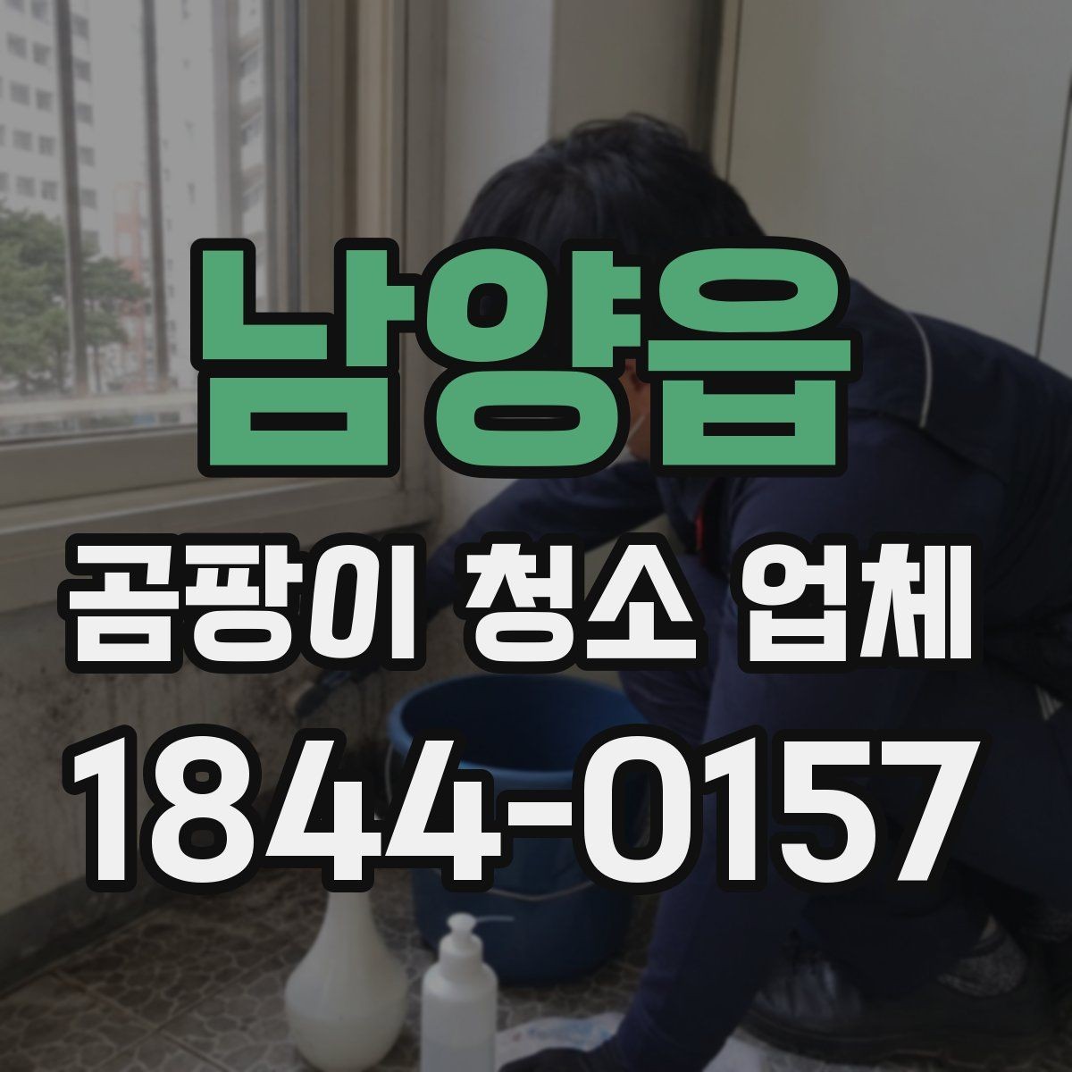 남양읍 곰팡이 청소 업체 서비스 차이 한눈에 보기