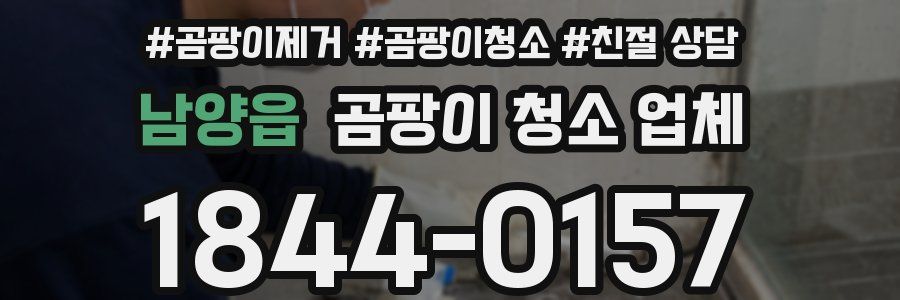 남양읍 곰팡이 청소 업체