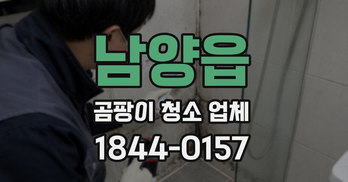 남양읍 곰팡이 청소 업체