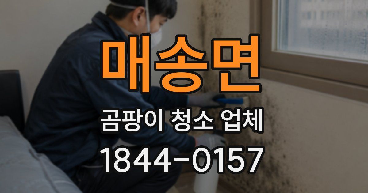매송면 곰팡이 청소 업체