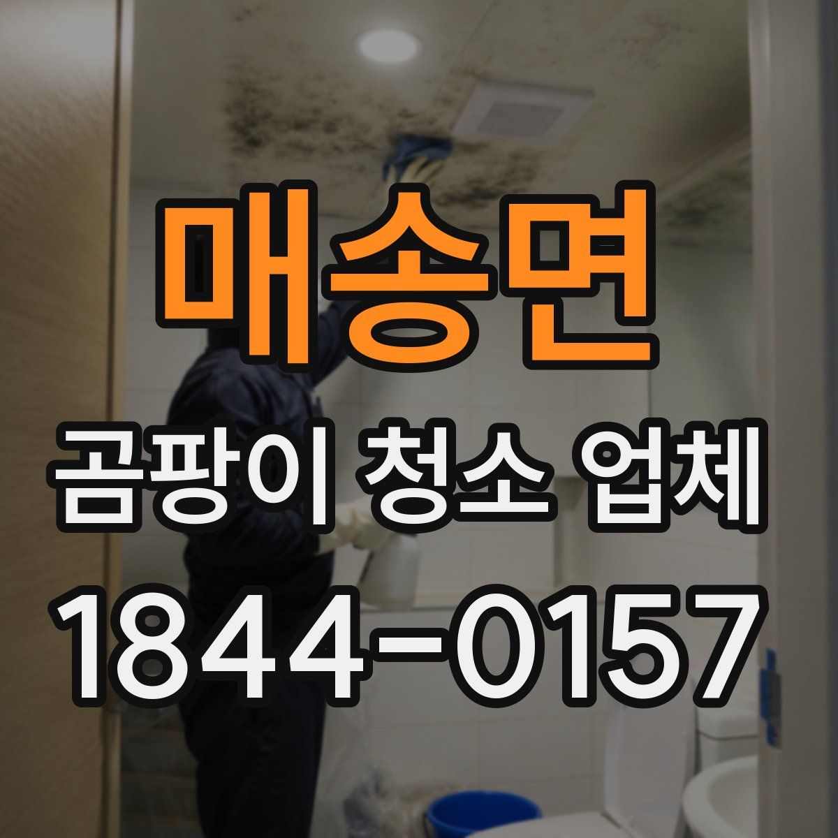 매송면 곰팡이 청소 업체
