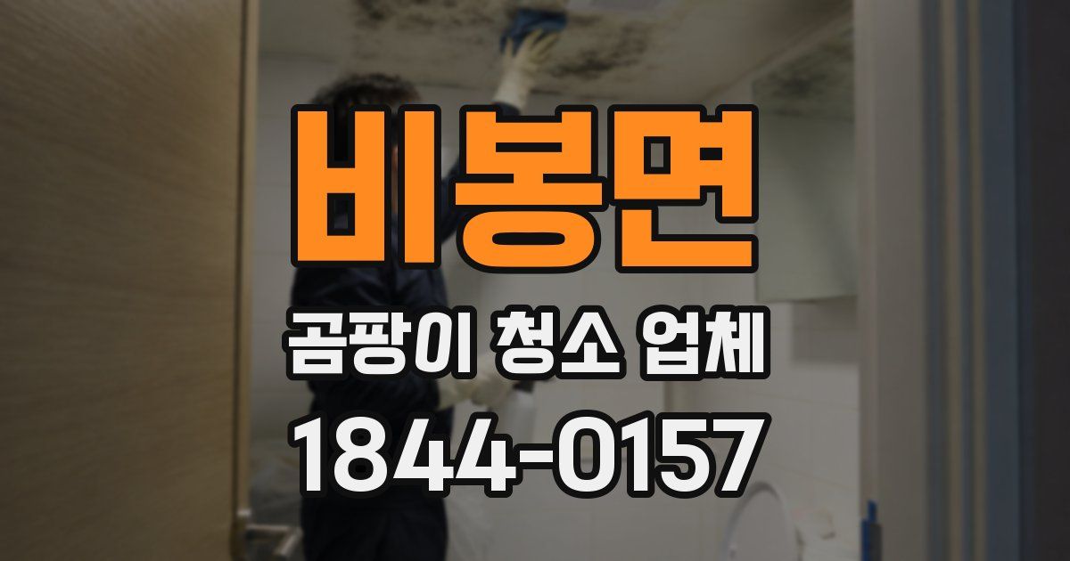비봉면 곰팡이 청소 업체