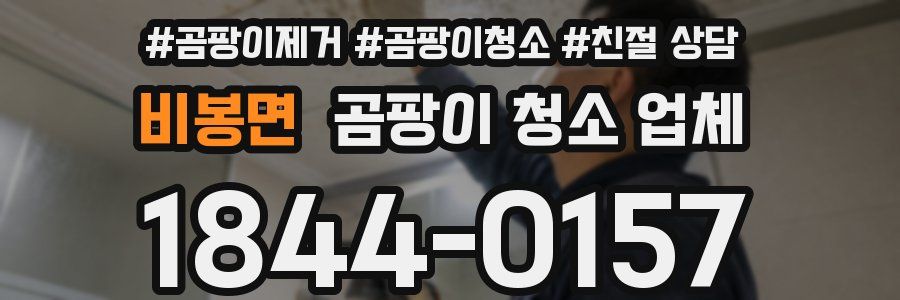 비봉면 곰팡이 청소 업체