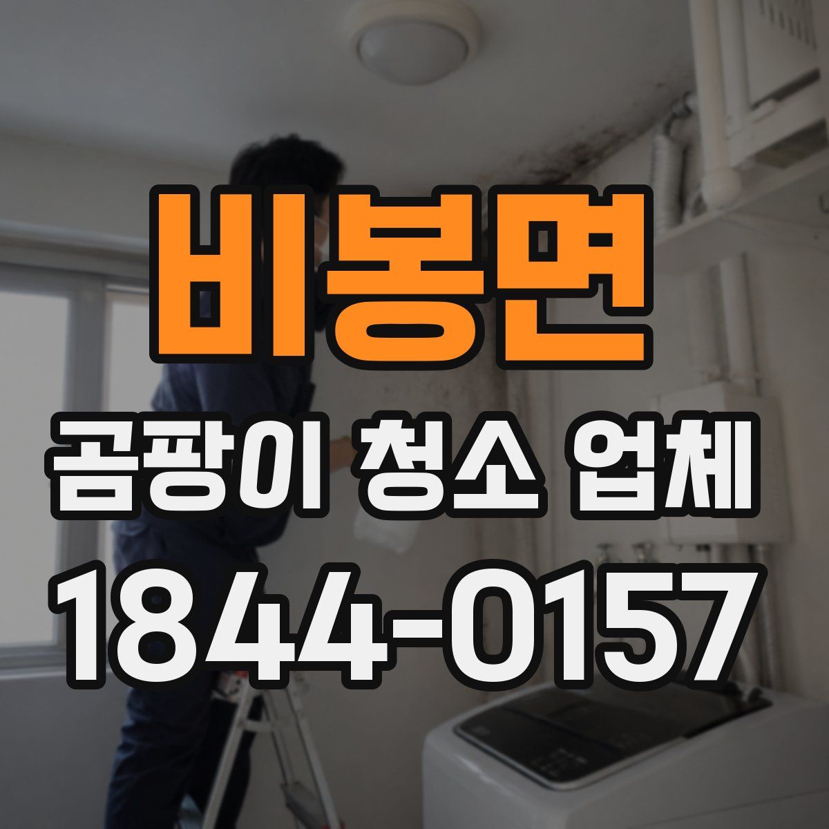 비봉면 곰팡이 청소 업체