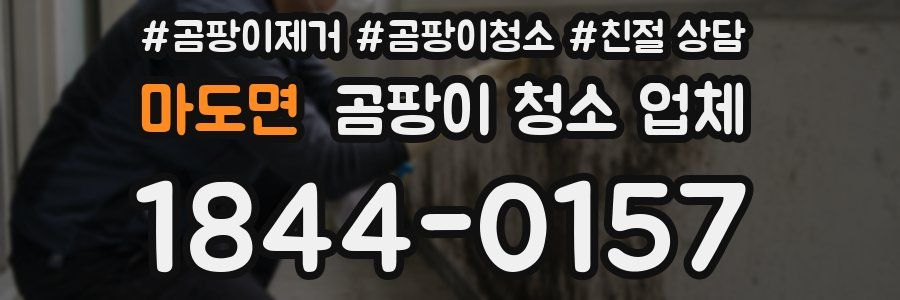 마도면 곰팡이 청소 업체