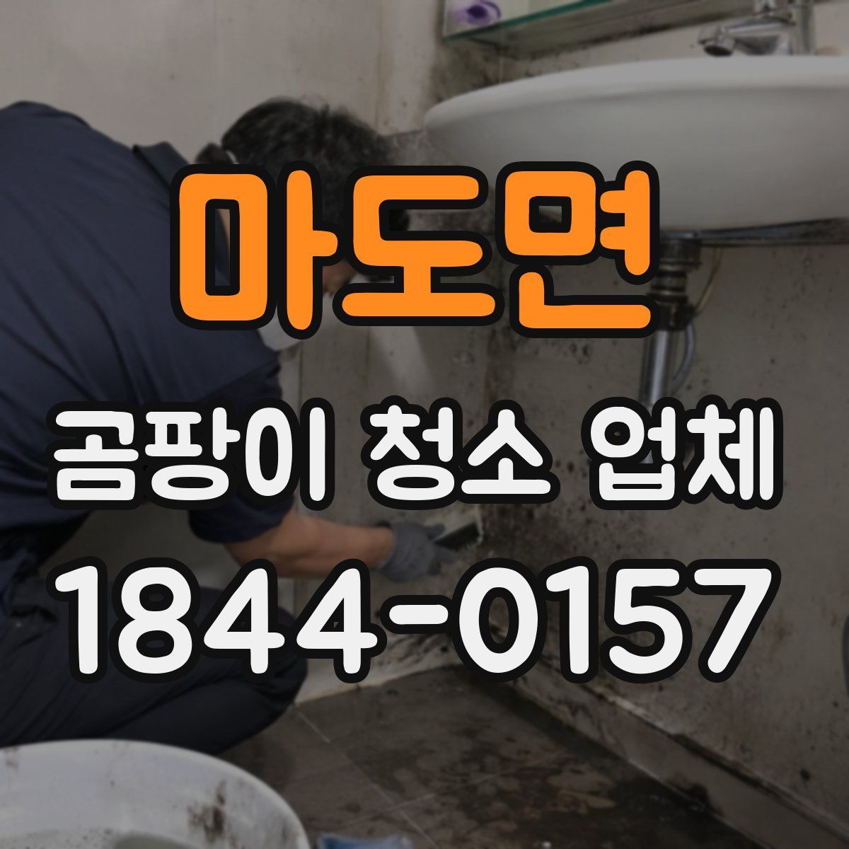 마도면 곰팡이 청소 업체