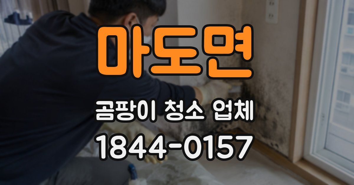 마도면 곰팡이 청소 업체