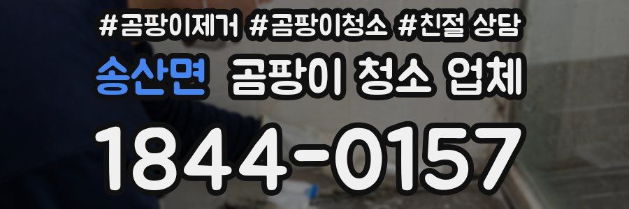 송산면 곰팡이 청소 업체