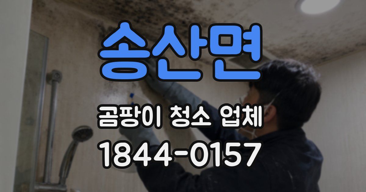 송산면 곰팡이 청소 업체