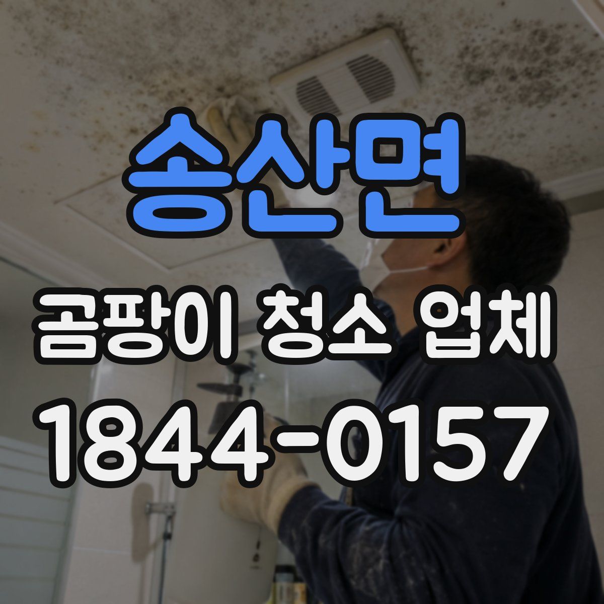 송산면 곰팡이 청소 업체