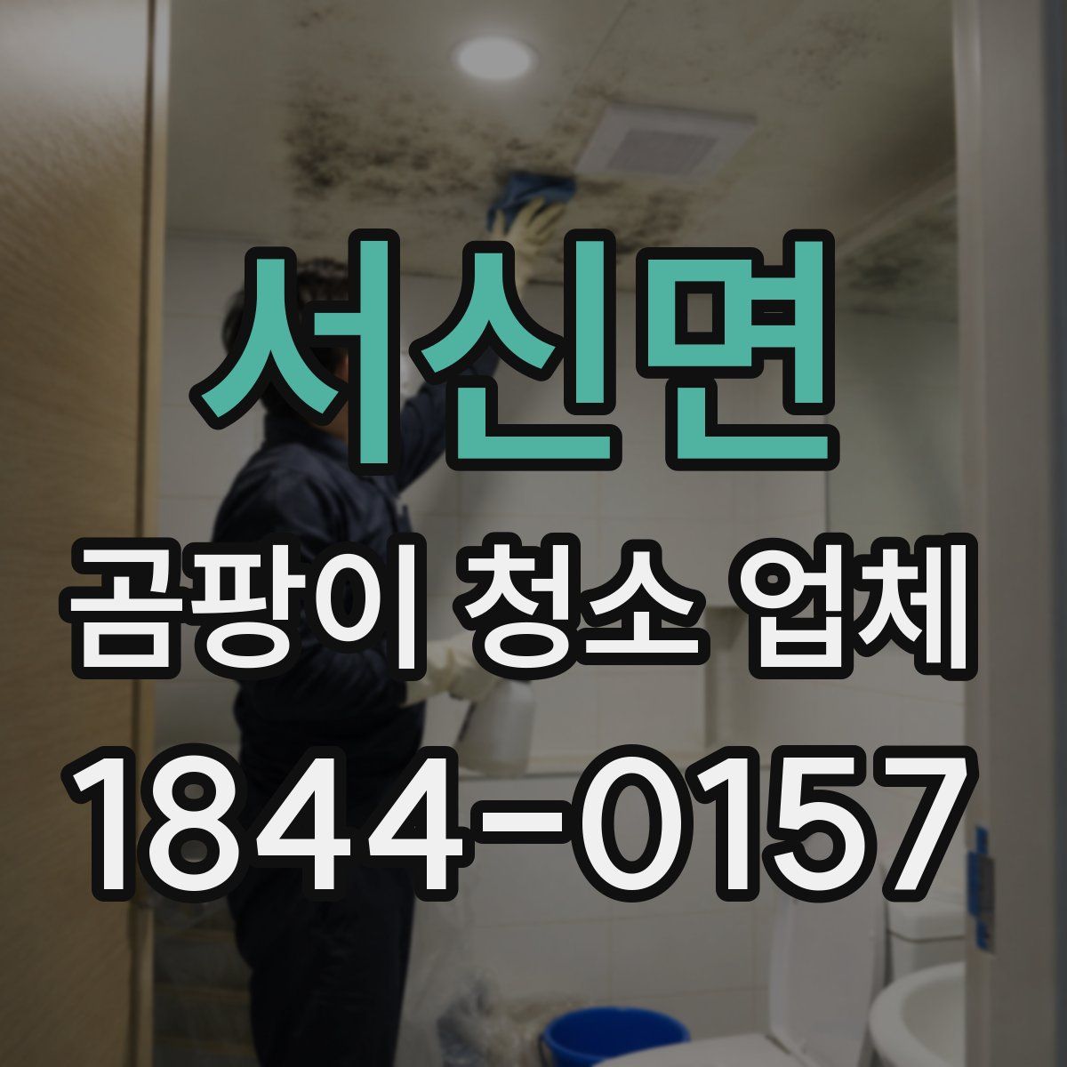 서신면 곰팡이 청소 업체