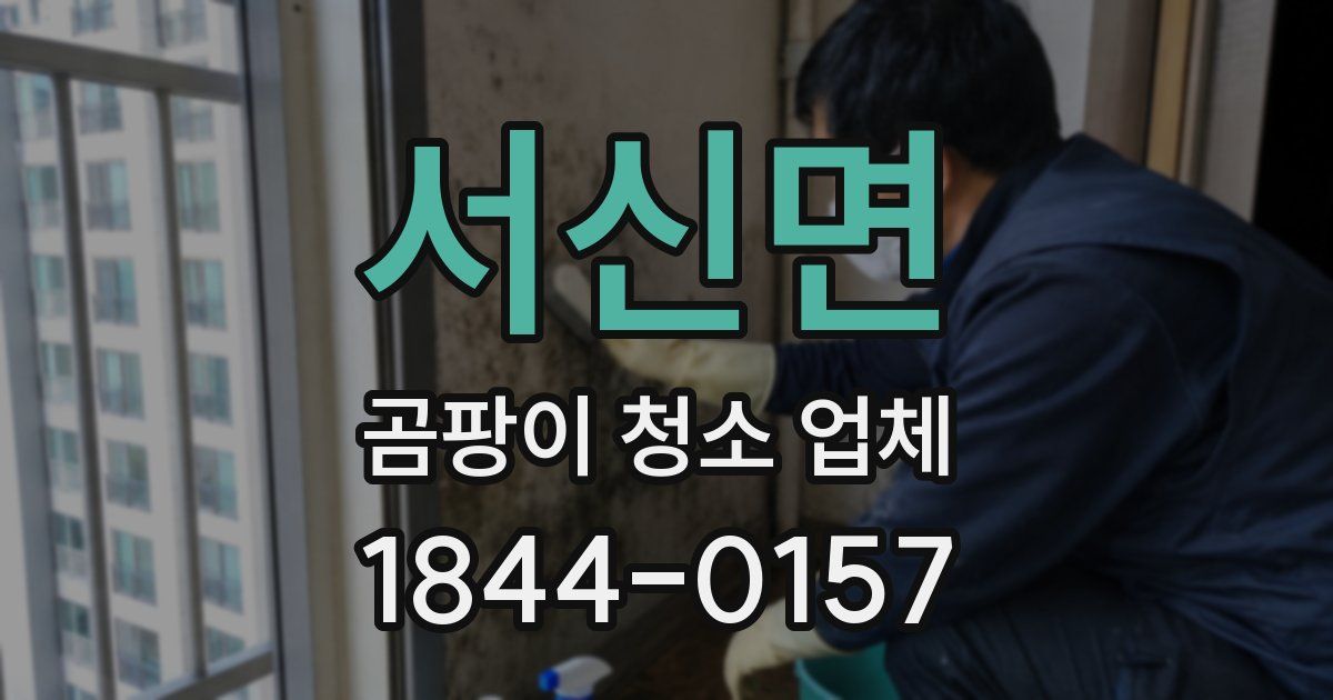 서신면 곰팡이 청소 업체