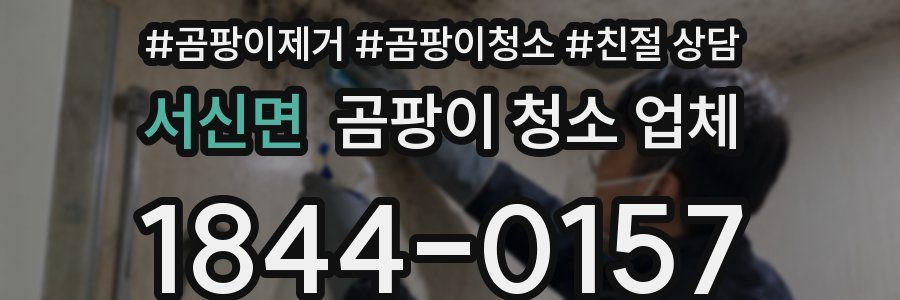 서신면 곰팡이 청소 업체