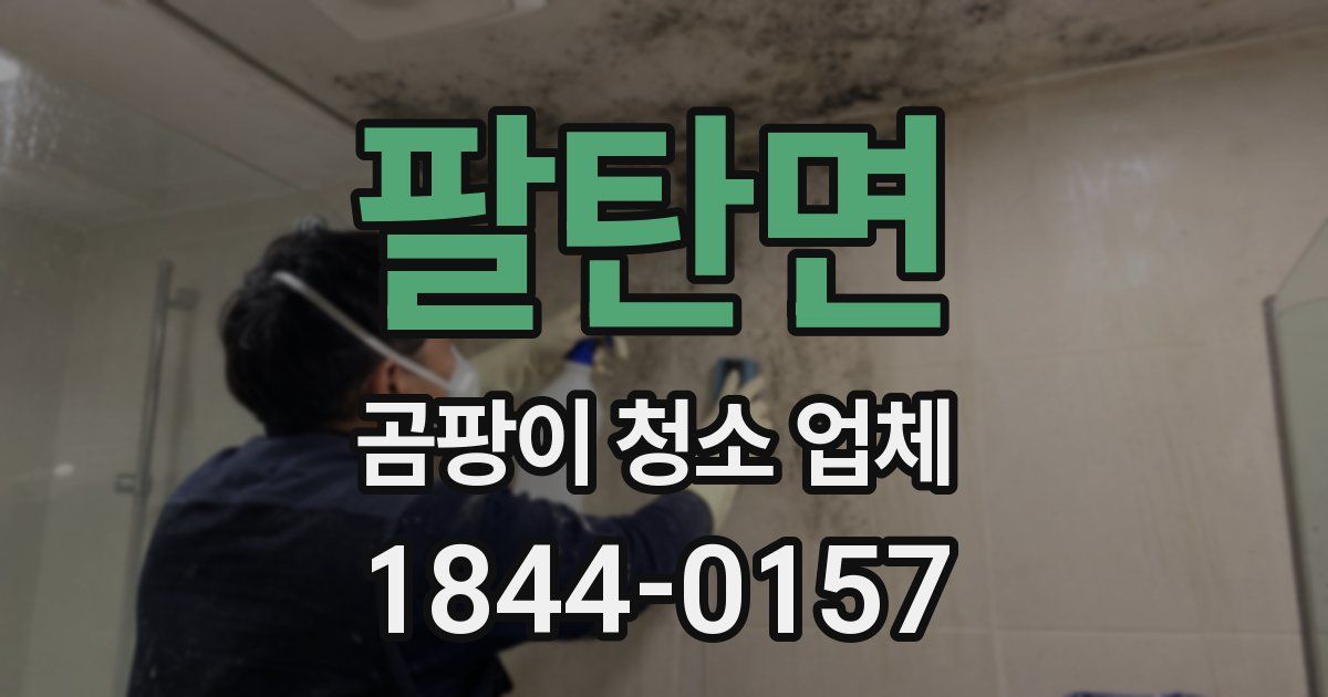 팔탄면 곰팡이 청소 업체