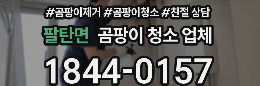 팔탄면 곰팡이 청소 업체