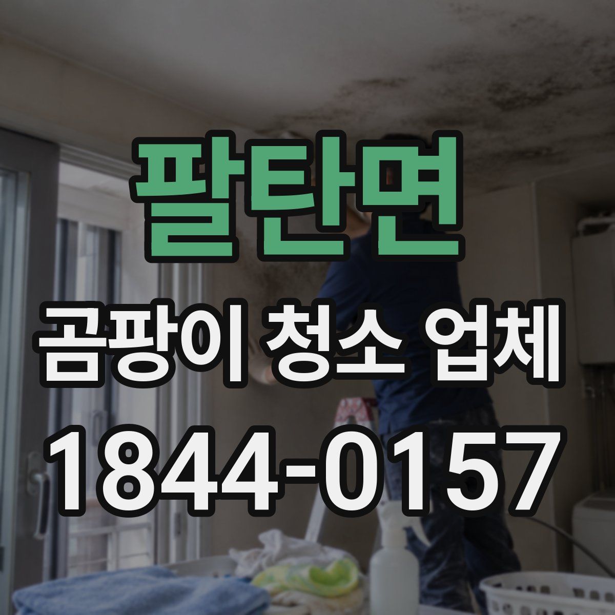 팔탄면 곰팡이 청소 업체