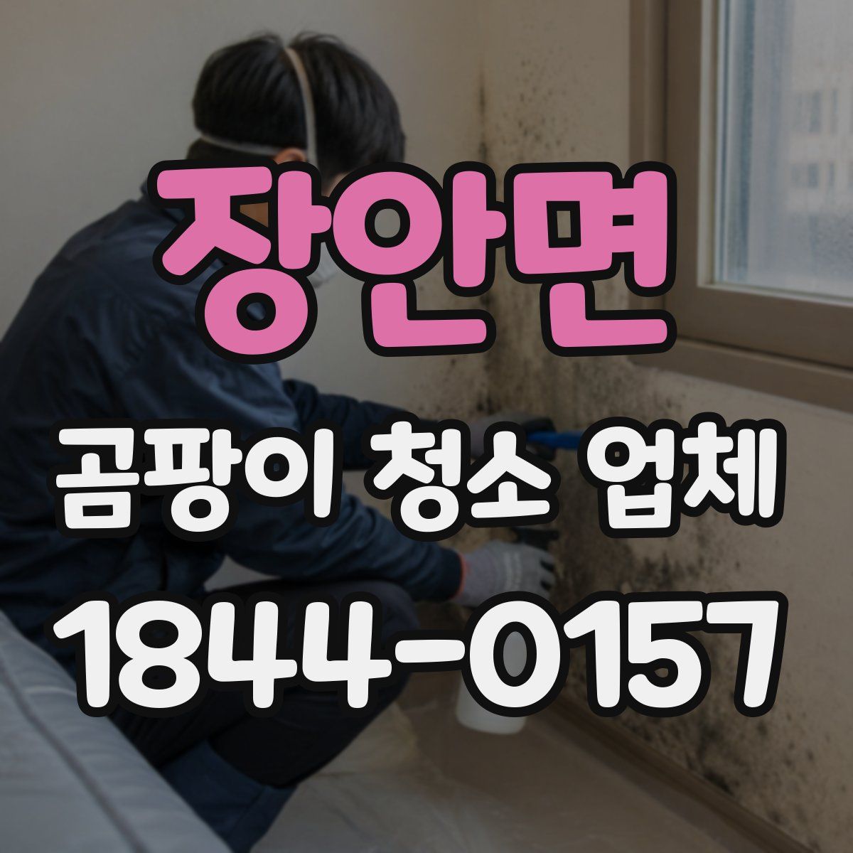 장안면 곰팡이 청소 업체